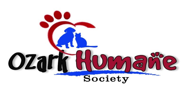Donation to charity