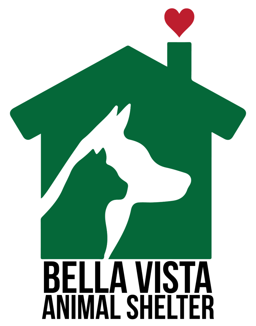 Donation to charity