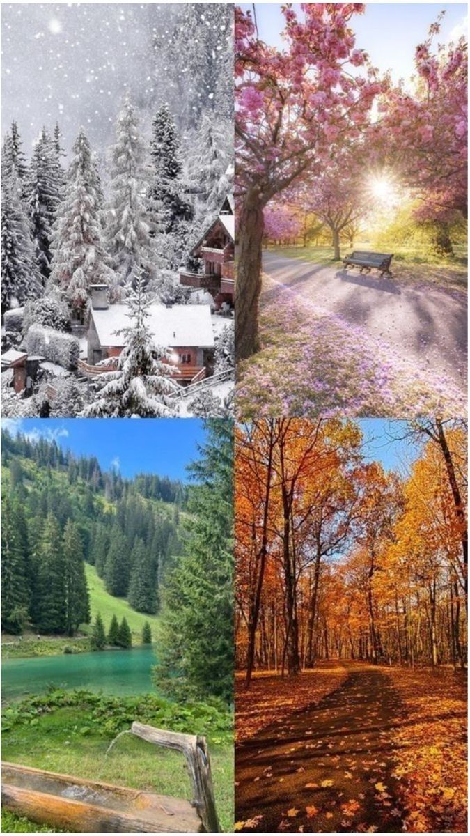 Season by Season Box